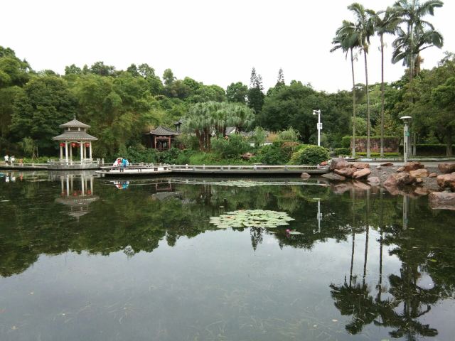 东莞人民公园旅行图片 3