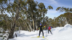 维多利亚游记图文-在南半球的冬天滑雪，一场视觉盛宴