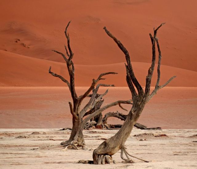 Namib-Naukluft National Park