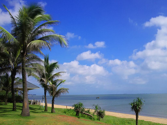 不虚海口此行，探寻当地各色美食