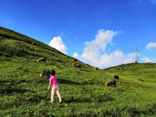 乌蒙大草原-盘州-YoYo_4Q4N0G9Y