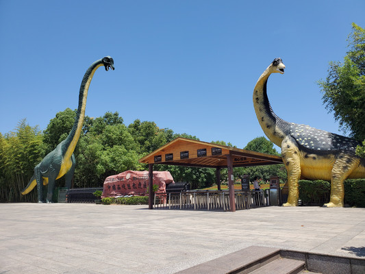 2019年甘南西北15天自驾游之第一天游西峡恐龙遗迹园