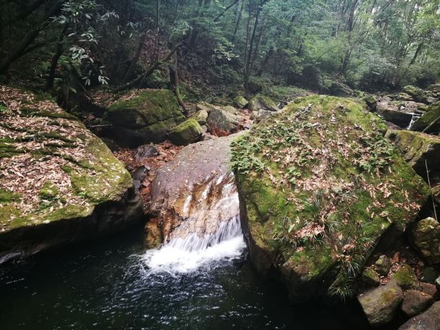 都匀凤啭河攻略,都匀凤啭河门票/游玩攻略/地址/图片/门票价格【携程