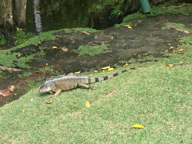 土著眼生態公園