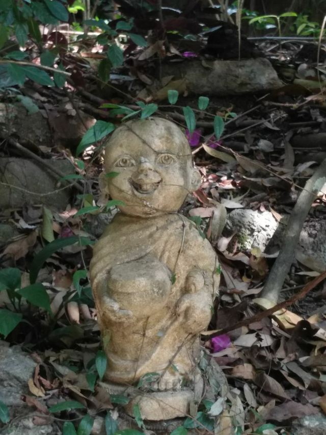 왓 파랏