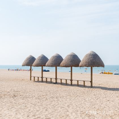 威海+烟台+那香海钻石沙滩浴场+搁浅货轮布鲁维斯号+养马岛+烟台山景区2日1晚拼小团