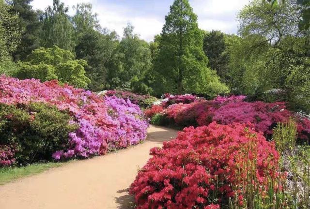 Botanischer Garten Attractions M32 5623 Marburg Biedenkopf
