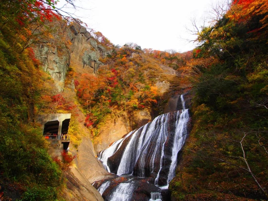 NO.2袋田瀑布  日本三大名瀑布之一，高120米，宽73米，为群山的靓丽风景所包围；又称为“四度瀑