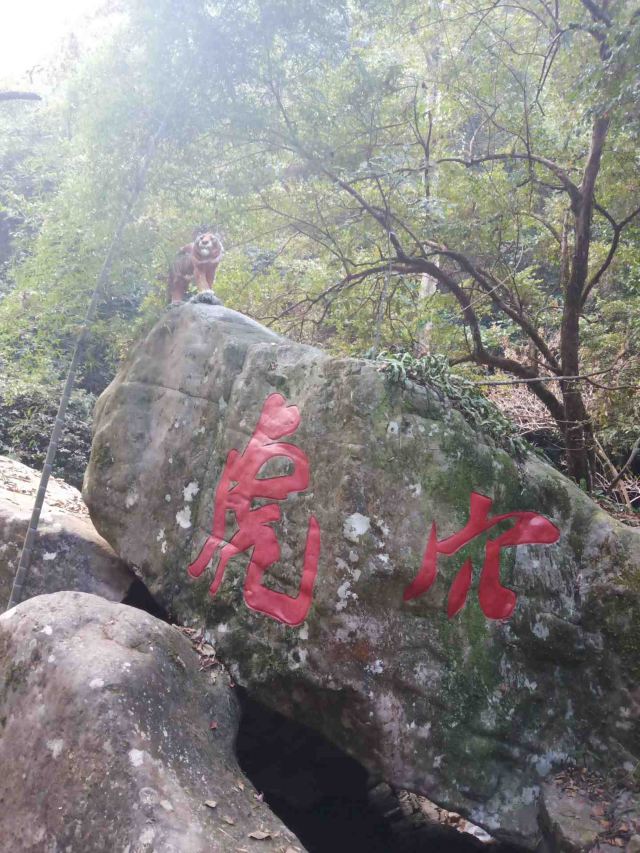 屏山悬索玻璃桥旅行图片 3