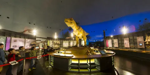 福井縣立恐龍博物館