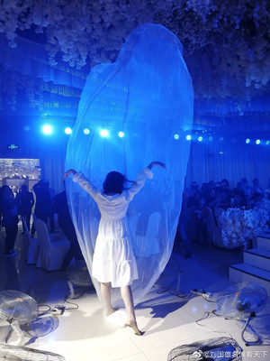 新娘用白纱起舞，这么有创意的婚礼秀你见过吗？