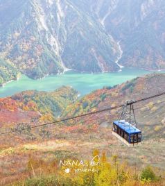 高冈市游记图文-富山，一份秋日的彩色画卷