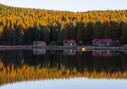 travel picture
