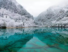 九寨沟游记图片] 一场雪过后，九寨沟的景色美出新高度！！