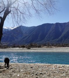 墨竹工卡游记图文-冬游西藏：蓝天绿水，日照金山，还有风景在路上