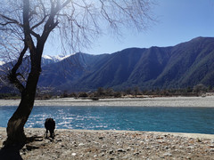 拉萨游记图片] 冬游西藏：蓝天绿水，日照金山，还有风景在路上
