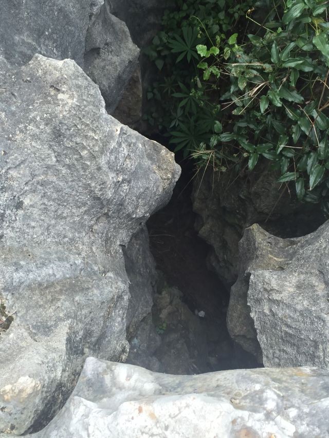 乃古石林风景区旅行图片 2
