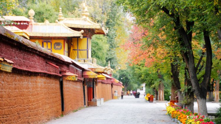 14-Day China Group Tours: Beijing, Tibet & Potala Palace, Chengdu, Shanghai