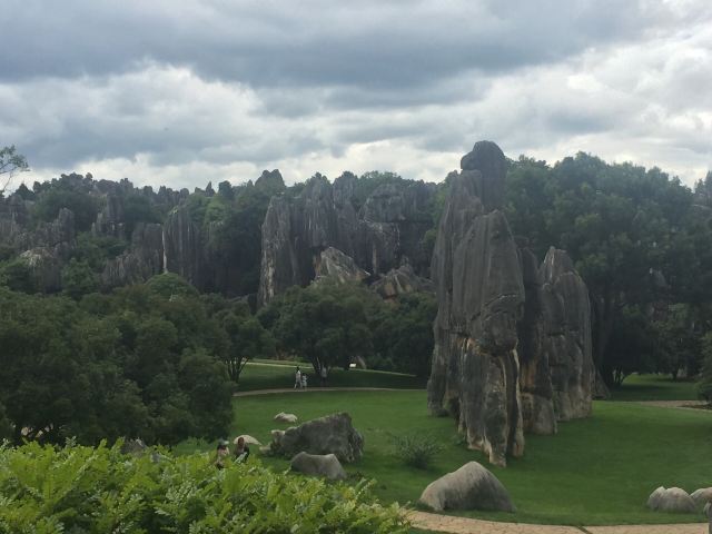 乃古石林风景区旅行图片 2