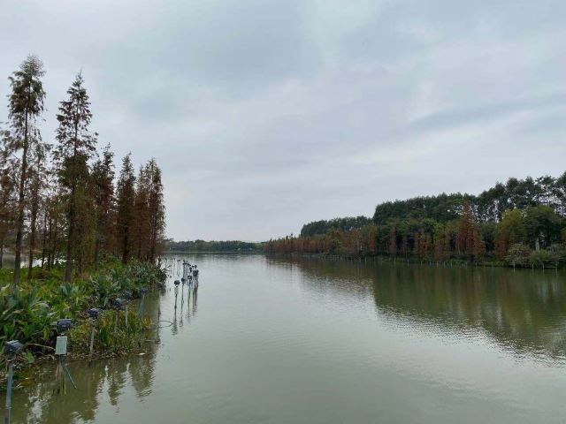 华阳湖国家湿地公园旅行图片 9