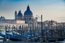 威尼斯-大大大皮怪