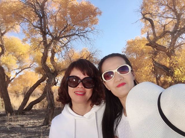 胡杨林旅行图片 3