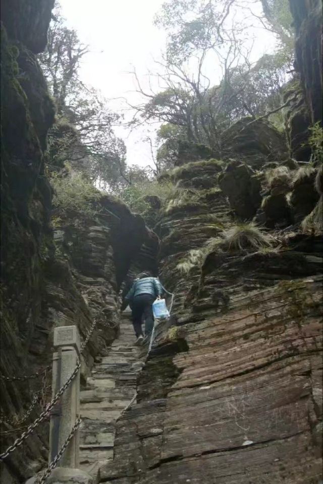 梵净山公园旅行图片 4
