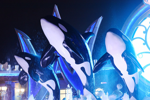 请将我埋在……童话世界里——海洋之梦（海昌海洋公园攻略全能锦囊，附多个视频）