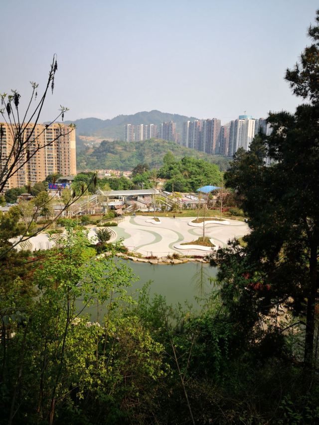 登高云山森林公园旅行图片 5