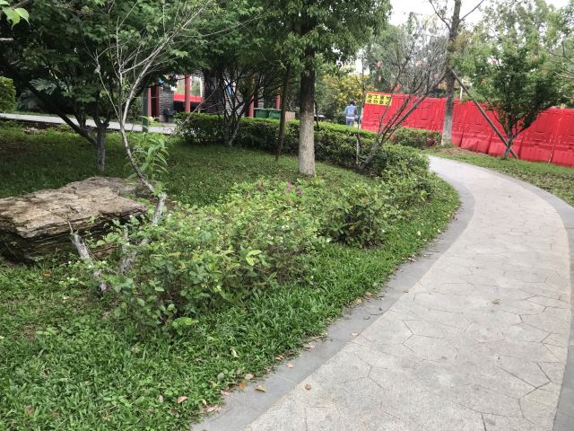 华阳湖国家湿地公园旅行图片 3