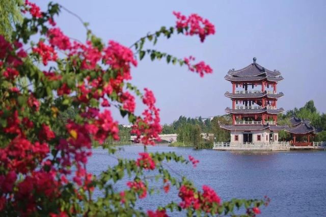 华阳湖国家湿地公园旅行图片 1