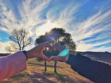 丰宁坝上草原-丰宁-VanFay