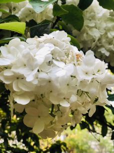 杭州西湖风景名胜区杭州花圃-杭州-travelererer