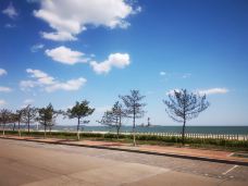 南戴河仙螺岛-秦皇岛-胖海鸥