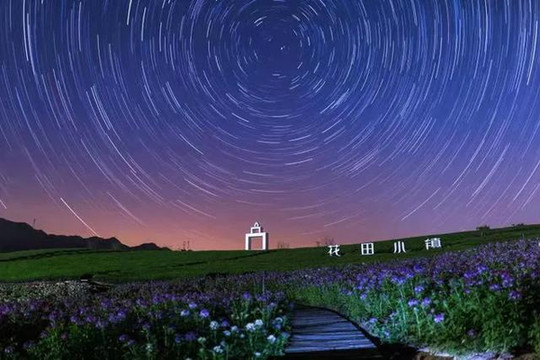 打卡武义新晋网红“花中酒店”,邂逅春暖花开的天堂!