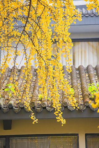 2020成都最新商务出行、亲子旅游酒店推荐