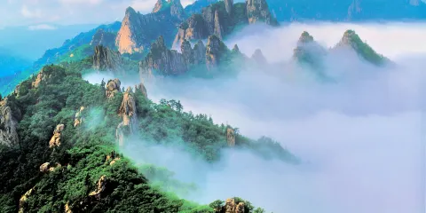 雪嶽山國家公園辦事處