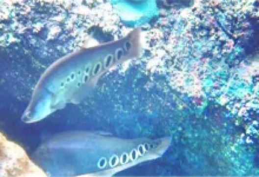 巴彦淖尔旅游图片-乌拉特前旗1日游