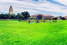 斯坦福大学-斯坦福-doris圈圈