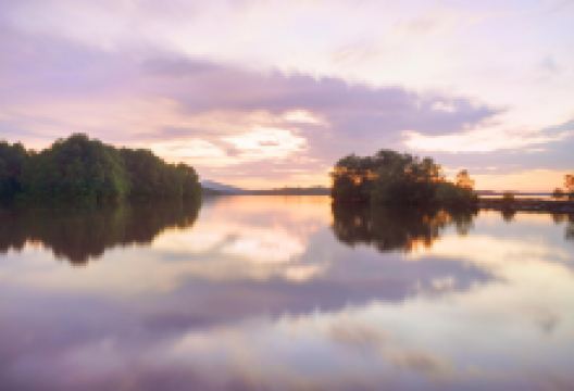 红林湾景点图片