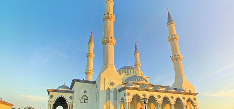 The Al Farooq Omar  Bin  Al Khattab  Mosque  And Centre travel 