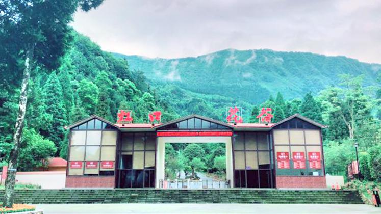 虹口花谷