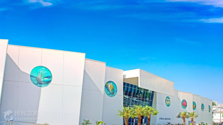 凱恩斯水族館