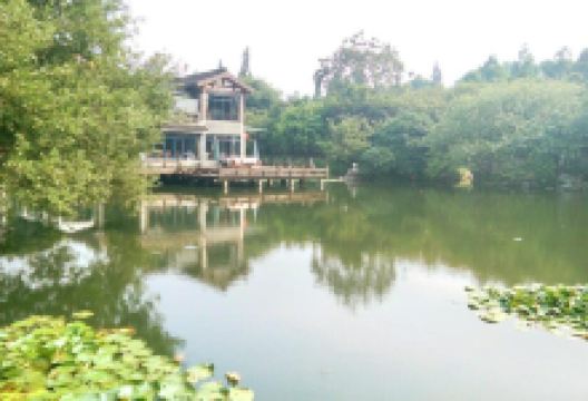 花马寺景点图片