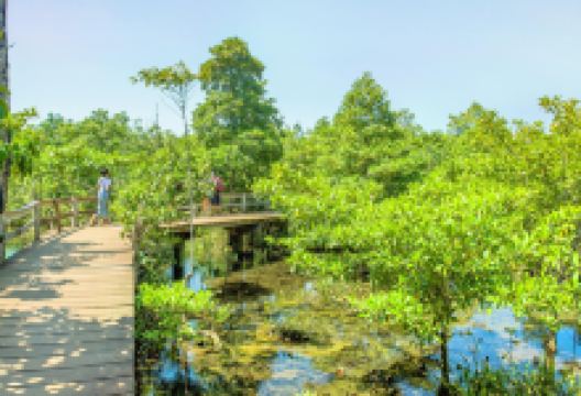 考帕邦刊自然保护区景点图片