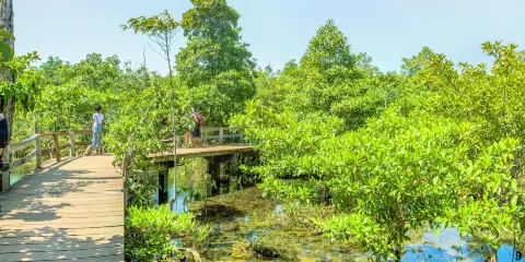 考帕邦刊自然保護區