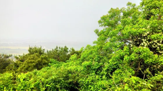 月山景區