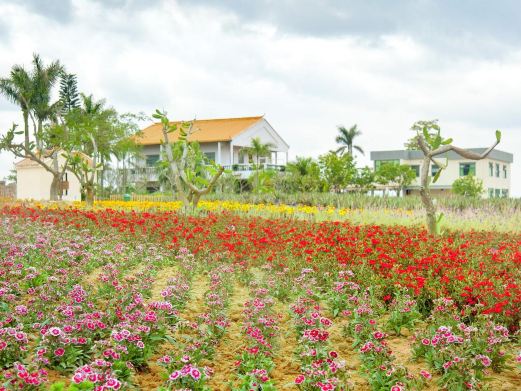瑷露德玛芦荟庄园