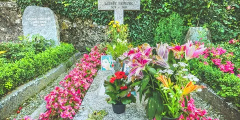 奧黛麗赫本之墓