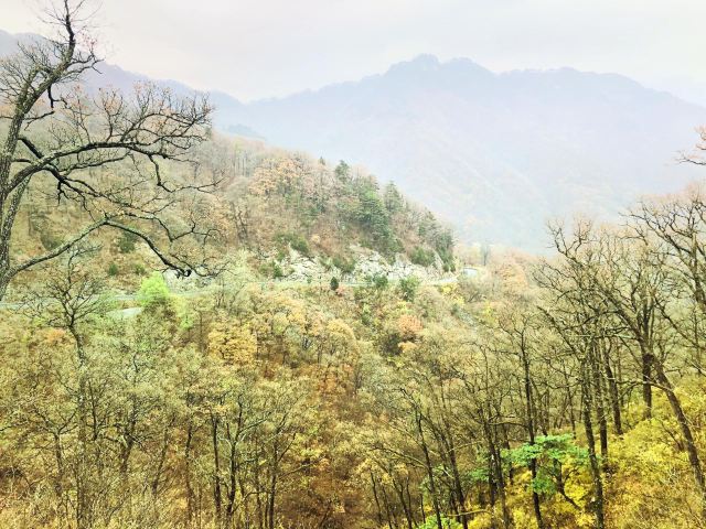 马鬃岭景区旅行图片 6